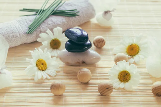 Pietre da massaggio, fiori e accessori wellness per rappresentare un servizio di accompagnamento a centri benessere.