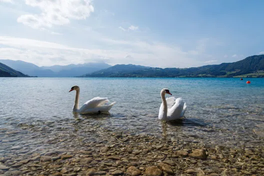 Scorcio del Lago di Garda